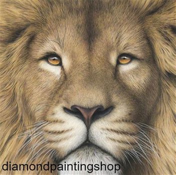 OPRUIMING FULL diamond painting lion 1 l - 0