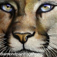 OPRUIMING FULL diamond painting Lion 2 L