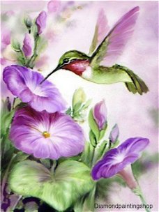 OPRUIMING FULL diamond painting colorful bird with purple flowers (SQUARE)