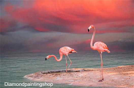 OPRUIMING FULL diamond painting flamingo - 0