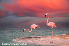 OPRUIMING FULL diamond painting flamingo