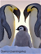 OPRUIMING FULL diamond painting penguins - 0 - Thumbnail