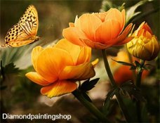OPRUIMING FULL diamond painting flowers with butterfly orange