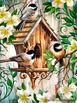 OPRUIMING FULL diamond painting birds with house - 0