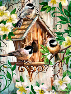 OPRUIMING FULL diamond painting birds with house