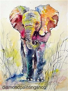OPRUIMING FULL diamond painting colorful elephant 1 (SQUARE)