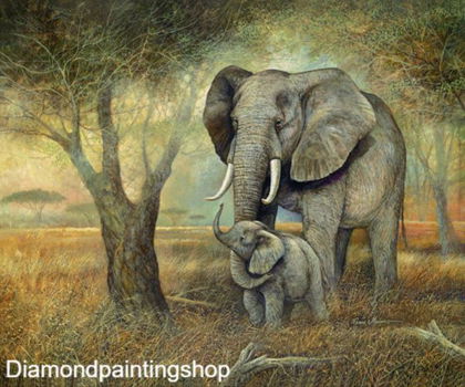 OPRUIMING FULL diamond painting natural elephants (SQUARE) - 0