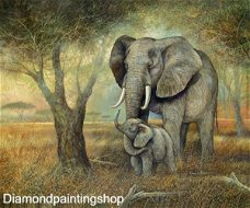 OPRUIMING FULL diamond painting natural elephants (SQUARE)