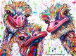 OPRUIMING FULL diamond painting colorful birds (SQUARE) - 0 - Thumbnail
