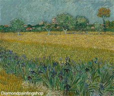 OPRUIMING FULL diamond painting v Gogh veld met irissen (SQUARE)