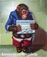 OPRUIMING FULL diamond painting monkey toilet (SQUARE) - 0 - Thumbnail