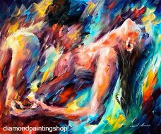 OPRUIMING FULL diamond painting abstract lovers XL