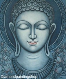 OPRUIMING FULL diamond painting buddha blue XL