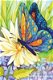 OPRUIMING FULL diamond painting butterfly with flowers XL - 0 - Thumbnail