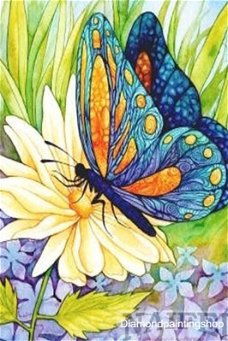 OPRUIMING FULL diamond painting butterfly with flowers XL