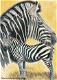 OPRUIMING FULL diamond painting Zebra XL - 0 - Thumbnail