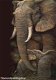 OPRUIMING FULL diamond painting natural elephants 2 XL - 0 - Thumbnail