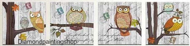 OPRUIMING FULL diamond painting 4-LUIK modern owls - 0