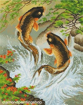 OPRUIMING FULL diamond painting fish XL - 0