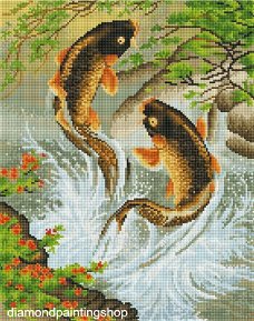 OPRUIMING FULL diamond painting fish XL