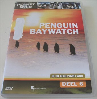 Dvd *** PENGUIN BAYWATCH *** Deel 6 Planet Wild - 0