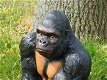aap , gorilla , kado - 2 - Thumbnail