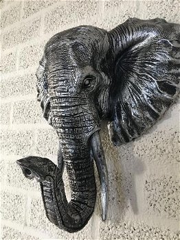 olifant , olifantenhoofd , dierenkop - 0