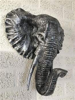 olifant , olifantenhoofd , dierenkop - 1