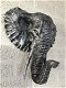 olifant , olifantenhoofd , dierenkop - 1 - Thumbnail