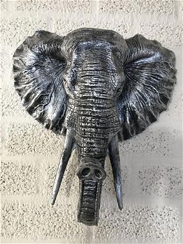 olifant , olifantenhoofd , dierenkop - 3