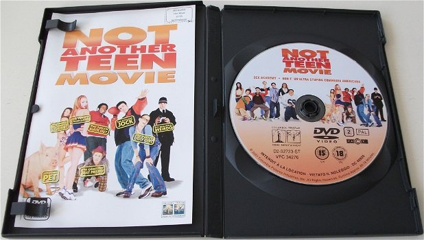 Dvd *** NOT ANOTHER TEEN MOVIE *** - 3