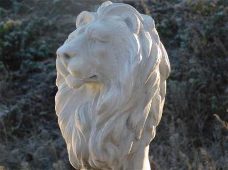 leeuw , tuinbeeld , witte leeuw - 0