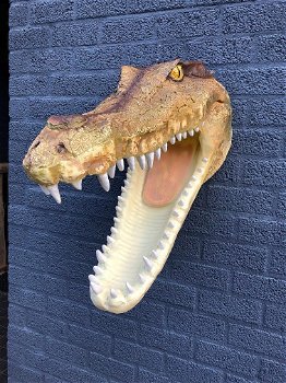 muurdecoratie krokodil , krokodil - 1