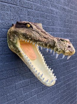 muurdecoratie krokodil , krokodil - 7
