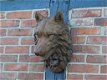 muurdecoratie , wolf , wolfenkop - 1 - Thumbnail