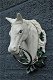 muurdecoratie , paarden decoratie , paard - 0 - Thumbnail