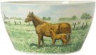 Bowls Paard Wiebes Farm - 0 - Thumbnail