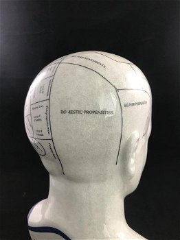 PHRENOLOGY , hoofd - 2