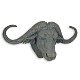 buffel , waterbuffel , schedel - 0 - Thumbnail