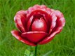 tuinsteker , roos , metalen roos - 0 - Thumbnail