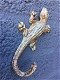 Salamander, kado - 2 - Thumbnail