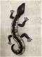 Salamander , muurdecoratie , kado - 2 - Thumbnail