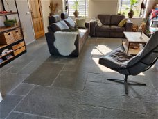 Bourgondische Dallen - Castle Stone Blue