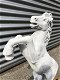 paard , tuinbeeld , steigerend paard - 6 - Thumbnail