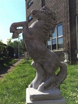 Steigerend paard , tuinbeeld , paard - 3