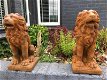 leeuwen set , leeuw , tuinbeeld - 0 - Thumbnail