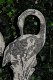kraanvogels , tuinbeelden , vijver - 3 - Thumbnail