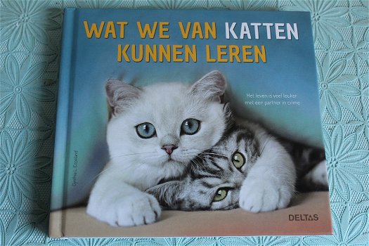 Wat we van katten kunnen leren - 0