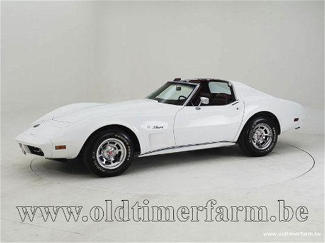 Corvette C3 '74 CH8160 - 0