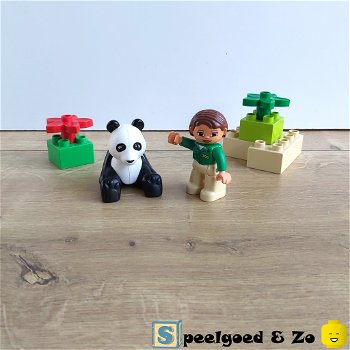 Lego Duplo Panda | compleet | 6173 - 0